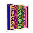 【ポイント10倍!マラソン期間限定】PIRASTRO ピラストロ パッション チェロ弦 D線 4/4 STEEL/CHROME STEEL CELLO PASSIONE STEEL 3342 D