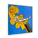 【ポイント10倍!マラソン期間限定】PIRASTRO ピラストロ パーマネント チェロ弦 D線 4/4 STEEL/CHROME STEEL CELLO PERMANENT 3372 D