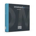 【ポイント10倍!マラソン期間限定】THOMASTICK INFELD トマスティック インフェルド DOMINANT PRO ドミナント プロ バイオリン弦 4 4 E線 金メッキ DP01AU