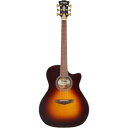 D'Angelico ギター Excel Gramercy XT Vintage Sunburst(2)