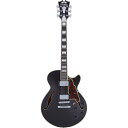 【ポイント10倍!10日深夜まで】D'Angelico ギター Premier SS Black Flake(2)