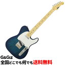 【ポイント10倍!15日限定!】【純正ギグバッグ付き】FUJIGEN エレキギター Neo Classic NT NTE100MAH-SBB/01