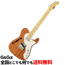 【純正ギグバッグ付き】FUJIGEN エレキギター Neo Classic NT NTE110MMHT-NT/01