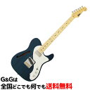 【純正ギグバッグ付き】FUJIGEN エレキギター Neo Classic NT NTE110MMHT-TBL/01