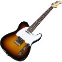エレキギター テレキャスタータイプ Fujigen フジゲン 日本製 Electric Guitar Basic Classic BCTE100RBD-3TS/01