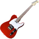 エレキギター テレキャスタータイプ Fujigen フジゲン 日本製 Electric Guitar Basic Classic BCTE100RBD-CAR/...