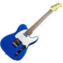 エレキギター テレキャスタータイプ Fujigen フジゲン 日本製 Electric Guitar Basic Classic BCTE100RBD-MBL/01