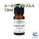 ビオスパ エッセンシャルオイル ユーカリグロブルス 10ml （精油・アロマオイル）