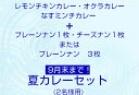 インドカレー 　カレー　夏カレー　夏カレーセット　ナン　チーズナン　期間限定　レモンチキンカレー　オクラカレー　茄子ミンチカレー　夏野菜　送料無料　インド料理神戸北野ガネーシャガル　冷凍　誕生日プレゼント　パーティー　お祝い　父の日　お中元・夏ギフト