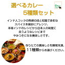 選べるカレー5種類セット　インドカレー　インド料理　冷凍カレー　カレー　冷凍　送料無料　ガネーシャガル　神戸北野　手作り　無添加　お取り寄せ　誕生日　ギフト　プレゼント　バターチキンカレー　ほうれん草カレー　チキンカレー　冷凍食品　敬老の日