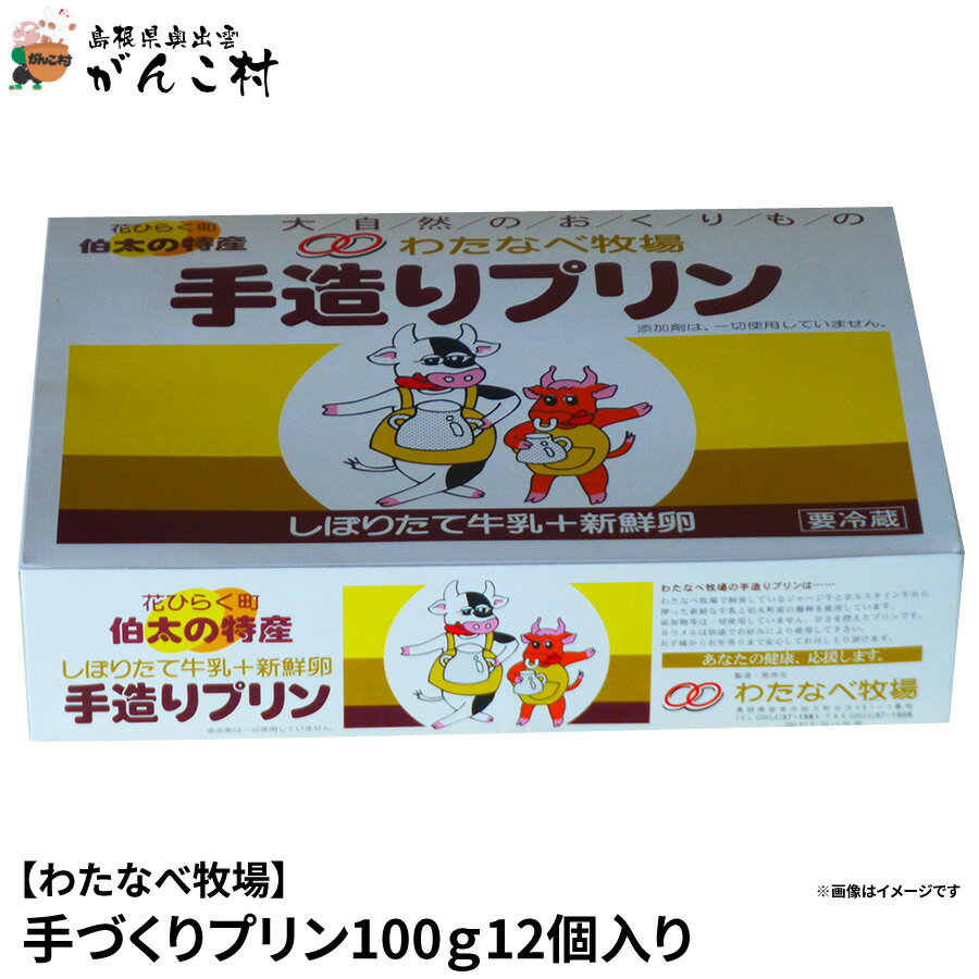 【わたなべ牧場】手づくりプリン100g12個入り【送料無料】/産直便につき代引き不可