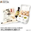 卵かけご飯セット（たまごL18個、令和5年産仁多米コシヒカリ2Kg、だし醤油1本）【送料無料】【楽ギ ...