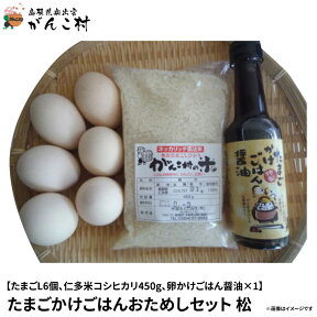 たまごかけごはんおためしセット〈松〉（たまごLサイズ6個．令和5年産仁多米コシヒカリ3合（450g）卵ご飯醤油150ml1本）【送料無料】【楽ギフ_包装】【楽ギフ_のし】【楽ギフ_のし宛書】