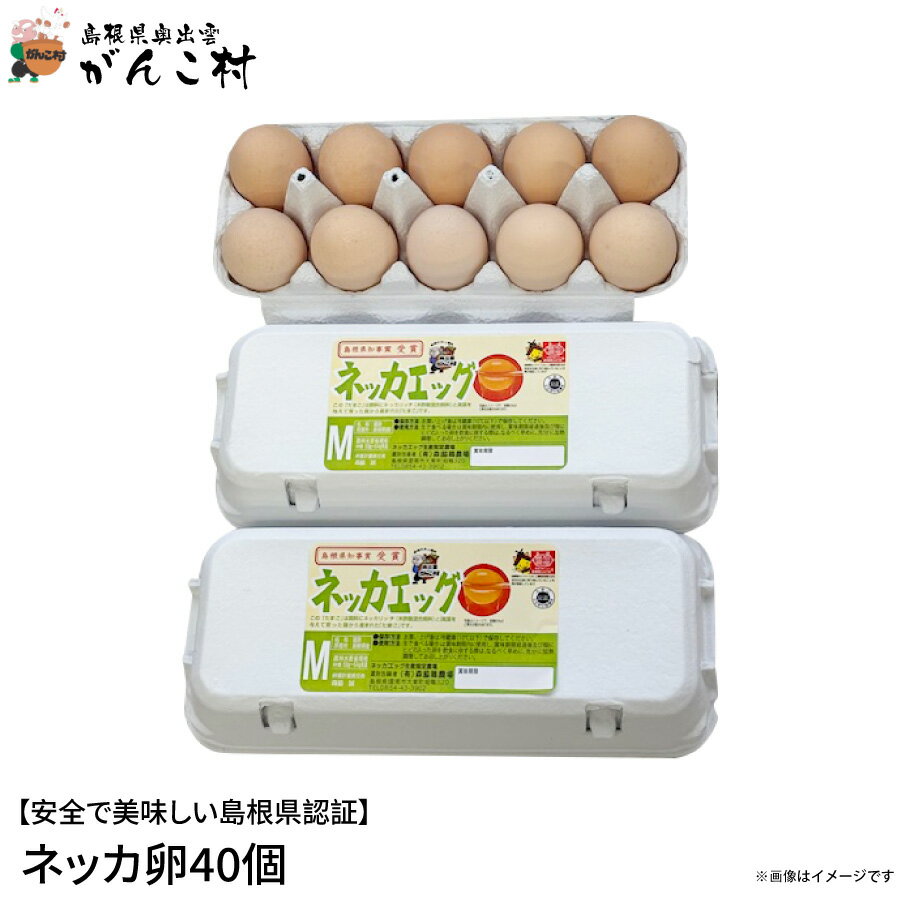 卵「安心・安全・おいしい」ネッカ卵40個入(玉子Mサイズ・紙製卵パック入/10個×4)卵かけご飯に!国産/生卵【送料無料】【楽ギフ_のし】【楽ギフ_のし宛書】