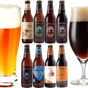 クラフトビール 8種 飲み比べセット ＜ 湘南ゴールド、IPA、黒ビール、チョコ