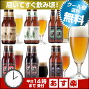 夏クラフトビール6種12本飲み比べセット。金賞受賞ビール、春夏限定フルーツビール2種入【送料無料】【あす楽：平日14時〆切】