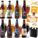 夏 クラフトビール 8種 飲み比べセット<パイナップルエール、湘南ゴールド、黒ビール、IPA 地ビール 詰め合わせ>敬老の日ギフト・誕生日プレゼント、残暑御見舞...