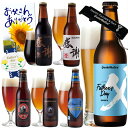 父の日 ギフト【栓抜き・カード・シール付】父の日 限定 IPAビール 感謝ビール 入 クラフトビール 6種 飲み比べセット 【あす楽】【本州送料無料】サンクトガーレン ＜ ペールエール、IPA、黒ビール、アンバーエール 地ビール 詰め合わせ ＞ おしゃれ 珍しい 酒 ご当地ビール