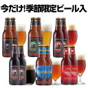 サンクトガーレン ビール 冬 クラフトビール 飲み比べセット 6種12本＜アップルシナモンエール、IPA、黒ビール、ペールエール 地ビール 詰め合わせ＞ サンクトガーレン【あす楽｜本州送料無料】結婚内祝い・出産内祝い・退職祝い・還暦祝い・入学祝い のし名入れ、誕生日プレゼント ギフト 対応