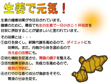 「理由(わけ)あり」ジンジャーティーポット(サークルドット・黄)有田焼 波佐見焼 生活便利食器
