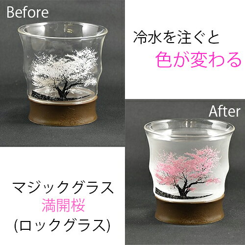 ロックグラス　ギフト　【マジック冷感ロックグラス（満開桜）】有田焼　父の日 有...