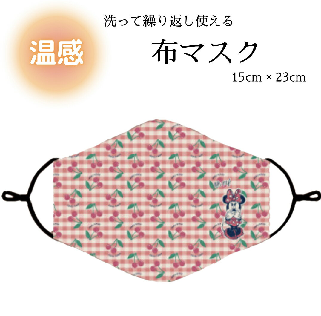 布マスク 温感素材 ディズニー ミニー プーさん チップ デール マスク 繰り返し使える 温感 暖かい　冬 可愛い