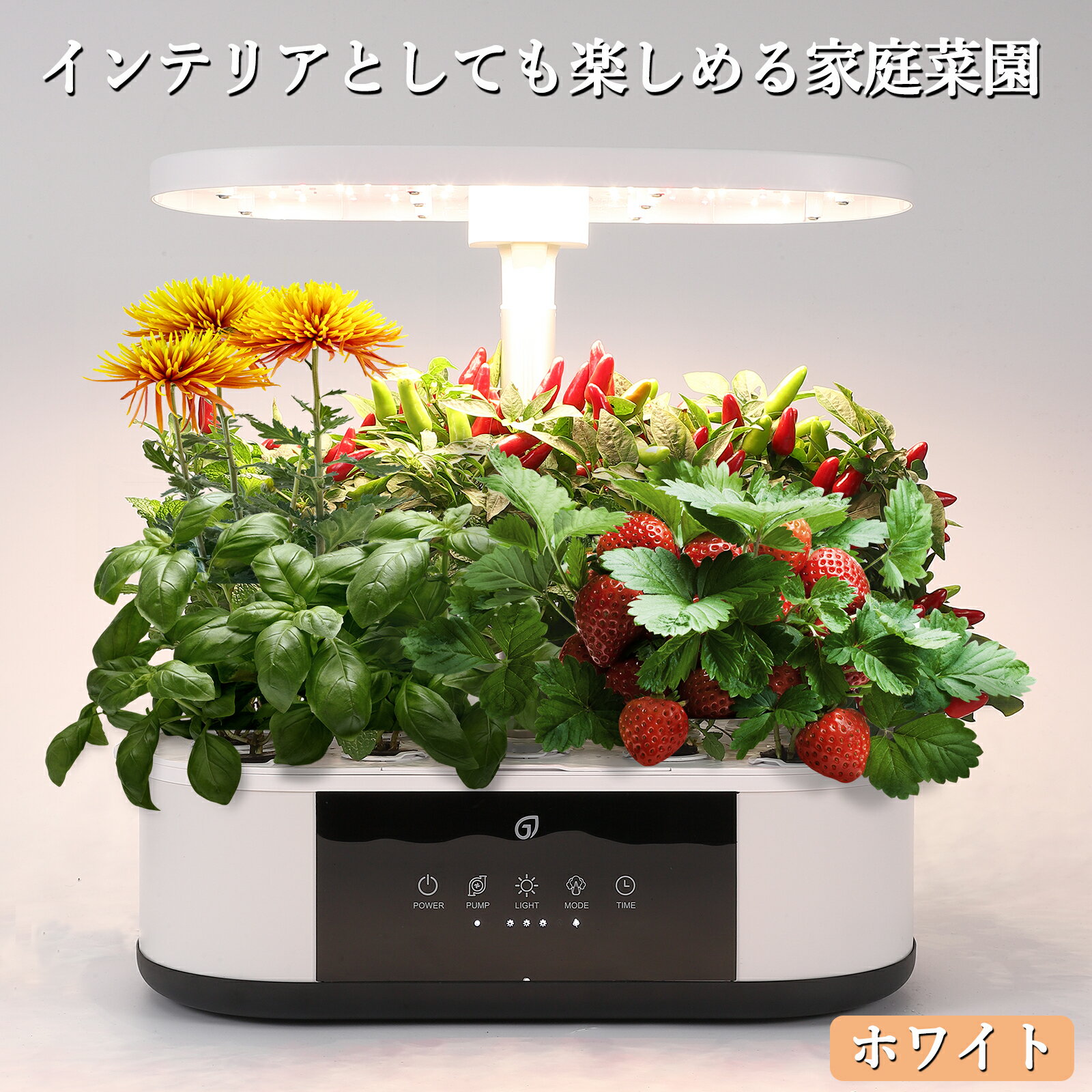 水耕栽培キット LEDライト付 水耕栽培 キット おしゃれ 野菜栽培キット 液晶ディスプレイ 室内 静か 家庭菜園 循環式ポンプ タイマー機能付 ガーデニング 植物育成 育苗キット GS1 MINI