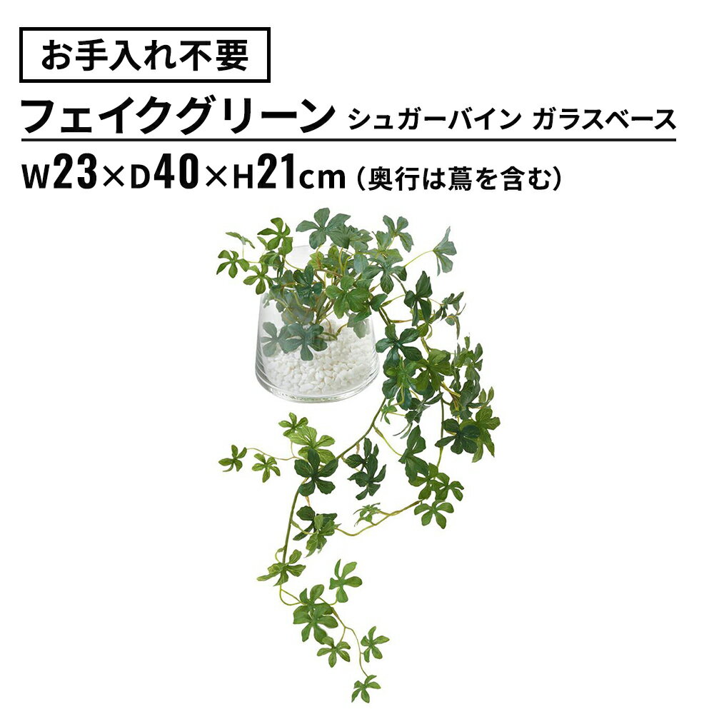 【14日20時〜店内P5倍】フェイクグリーン シュガーバイン ガラスベース 幅23×奥行40×高さ21cm(観葉植物 フェイク おしゃれ インテリア テーブルグリーン 垂れ つる プリマ 玄関 リビング ダイニング キッチン 水やり不要 卓上 リアル ナチュラル オフィス 会社 屋内 室内)