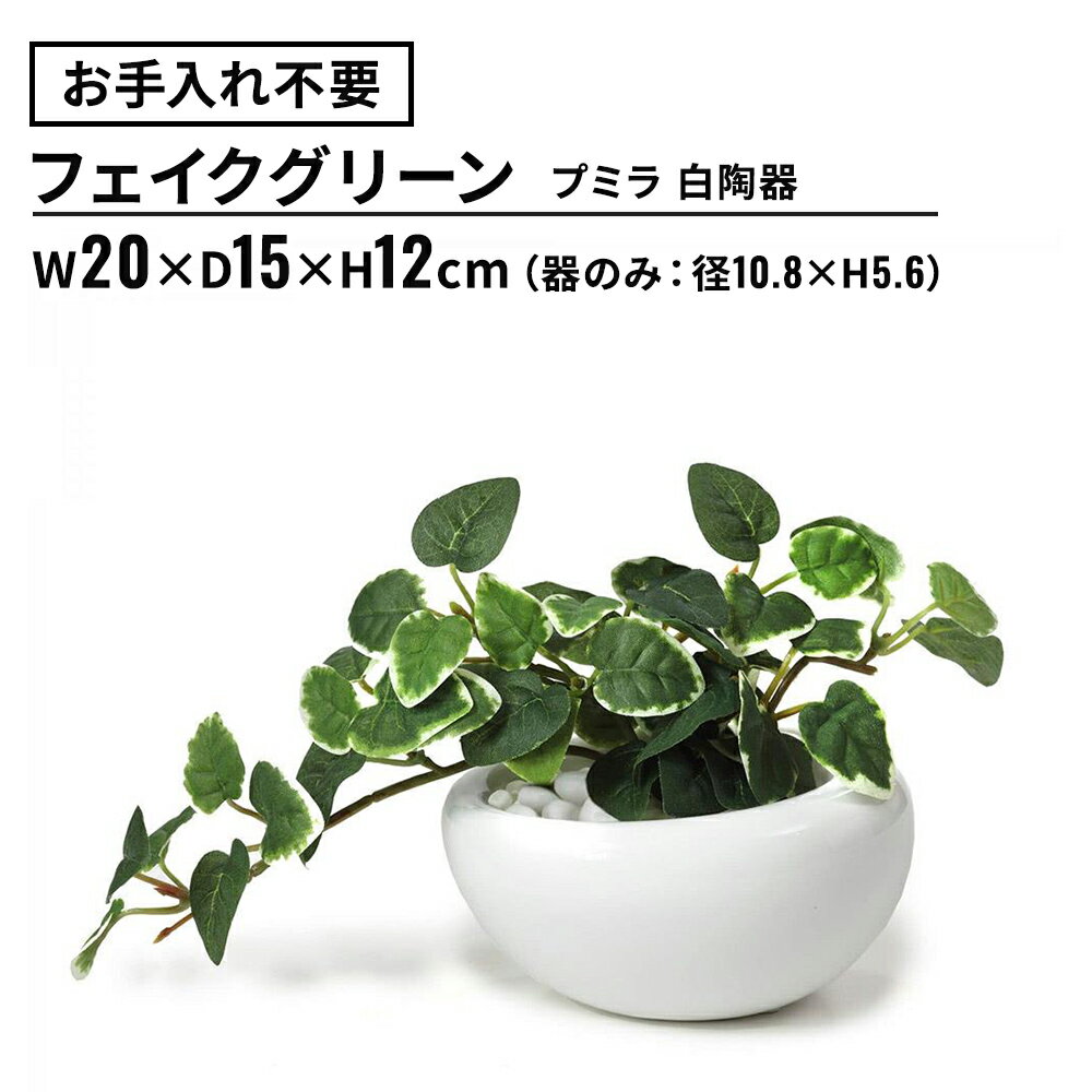 フェイクグリーン プミラ 白陶器 S (観葉植物 フェイク おしゃれ インテリア テーブルグリーン ミニ 小さい 小さめ 陶器 リビング ダイニング テーブル キッチン 観葉 グリーン 水やり不要 卓上 リアル ナチュラル ギフト 室内)