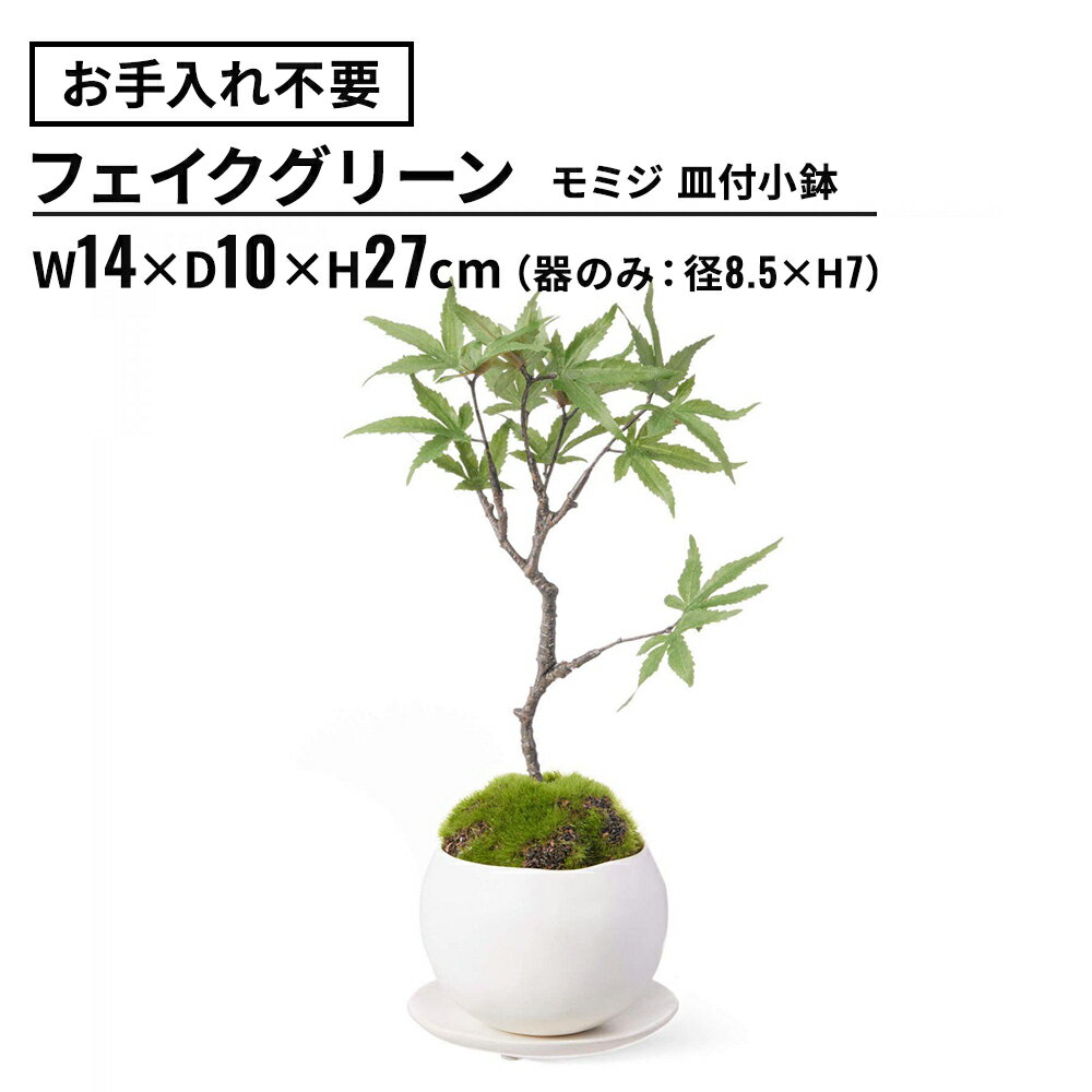 フェイクグリーン モミジ 皿付小鉢 白 (観葉植物 フェイク おしゃれ インテリア テーブルグリーン 陶器 リビング ダイニング テーブル キッチン 観葉 グリーン 水やり不要 卓上 リアル ナチュラル ギフト 室内)