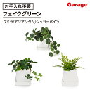 フェイクグリーン 皿付きミニグリーン3点セット(観葉植物 オフィスグリーン お祝い リビング 玄関 エントランス 開店祝い 開業祝い 新築祝い 引っ越し祝い 結...