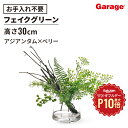 【7/1限定◆全品最大P10倍】フェイクグリーン アジアンタム × ベリー ウォーター トラペゾイド(観葉植物 オフィスグリーン お祝い リビング 玄関 エントランス 開店祝い 開業祝い 新築 引っ越し 結婚祝い インテリア ギフト ワンポイント リアル おしゃれ)