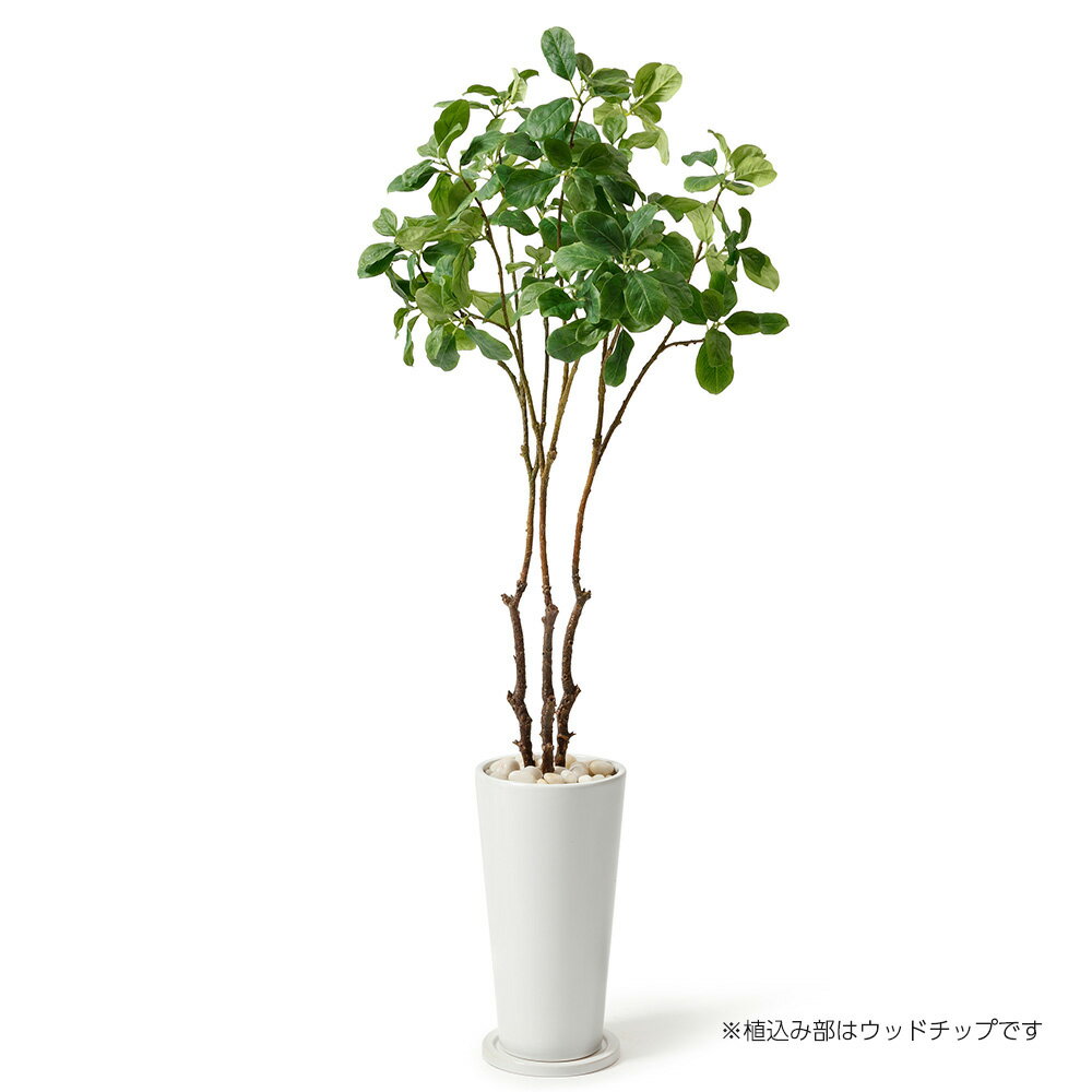 マグノリアリーフ 高さ120cm （フェイクグリーン インテリア 観葉植物 オフィスグリーン リビング 玄関 エントランス 贈り物 ギフト プレゼント 開店 出店祝い 引っ越し祝い 開業祝い グリーン 人工植物 木 おしゃれ リーフ 小物 納涼 )
