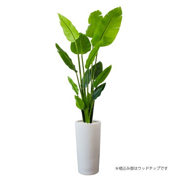 ストレチア 高さ170cm (フェイクグリーン 観葉植物 大型 インテリア オフィスグリーン リビング 玄関 エントランス 贈り物 ギフト プレゼント 開店祝い 出店祝い 引っ越し祝い 移転祝い 開業祝い フロアグリーン グリーン 立ち木 人工植物 木 おしゃれ リアル リーフ )