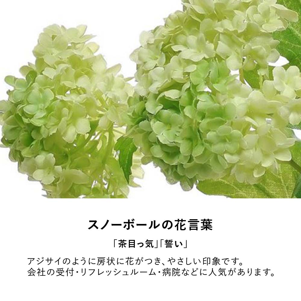 ★【P10◆8/19 20:00〜23 9:59】フェイクグリーン スノーボール ウォーター トラペゾイド ( 観葉植物 オフィスグリーン お祝い リビング 玄関 エントランス 開店祝い 開業祝い 新築祝い 引っ越し祝い 結婚祝い インテリア ギフト ワンポイント new ) PRGR-0957