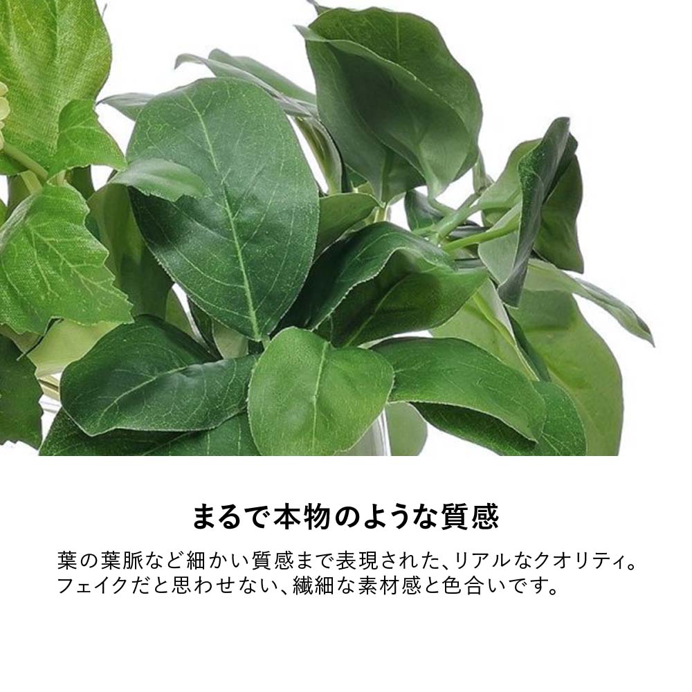 ★【P10◆8/19 20:00〜23 9:59】フェイクグリーン スノーボール ウォーター トラペゾイド ( 観葉植物 オフィスグリーン お祝い リビング 玄関 エントランス 開店祝い 開業祝い 新築祝い 引っ越し祝い 結婚祝い インテリア ギフト ワンポイント new ) PRGR-0957