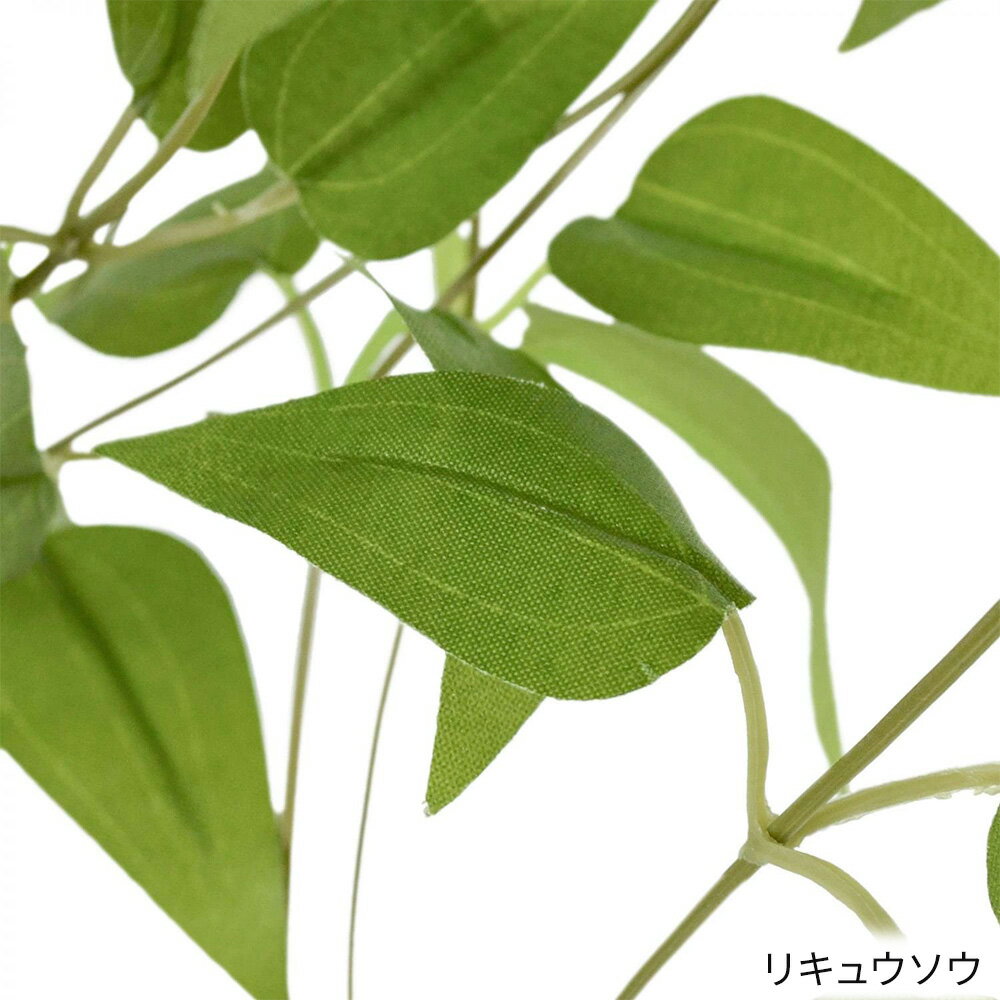 �ϥ󥮥󥰥��꡼�� �ý������� �ꥭ�奦���� ���奬���Х��� 2�ĥ��åȡʥե��������꡼�� ���տ�ʪ Ĵ�� �ɳݤ� �ϥ󥮥� ����ƥꥢ ���� ������� ���ե� �ץ쥼��� £��ʪ ���ˤ� �������� �ꥢ�� �ߤ겼��)