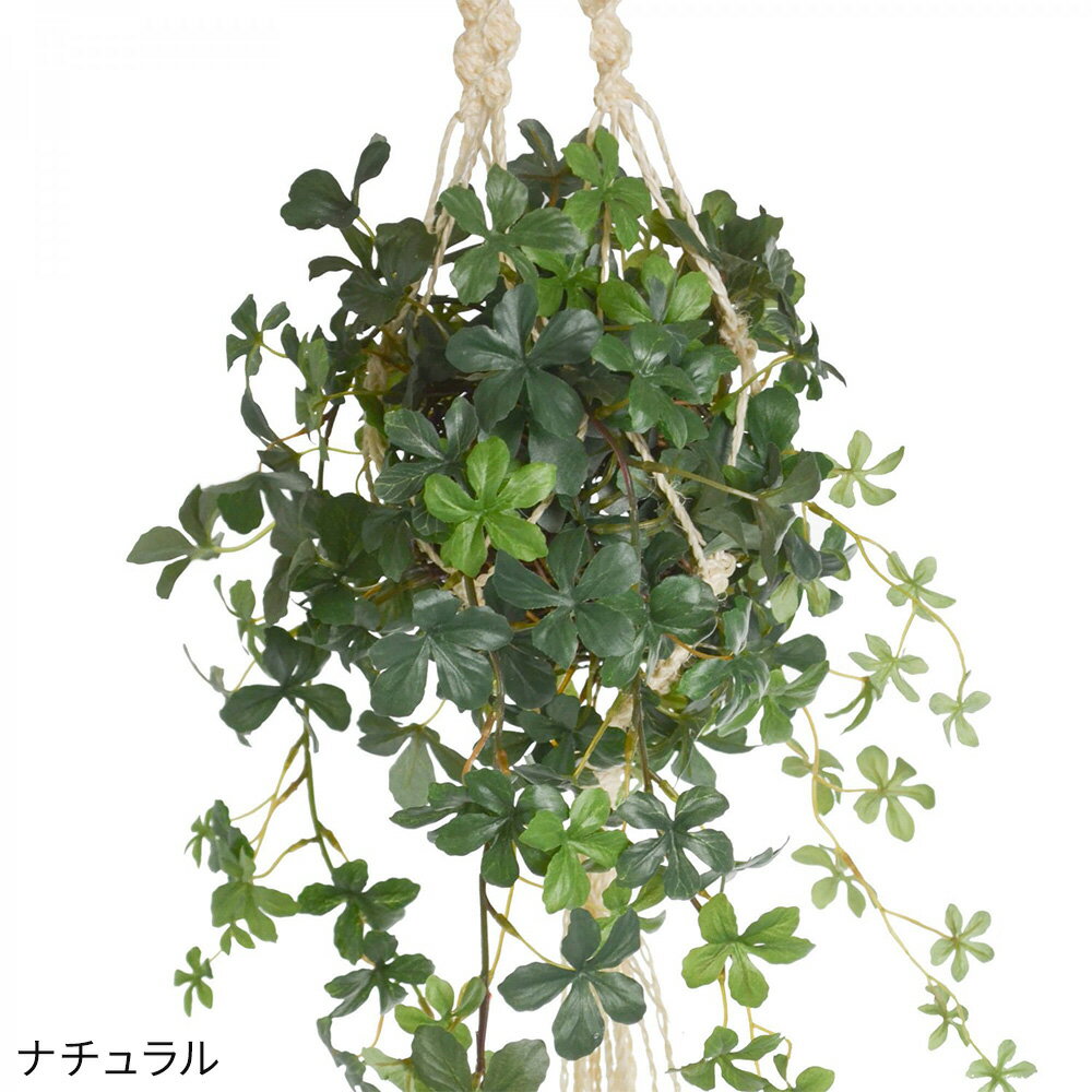 �� �ϥ󥮥󥰥��꡼�� �ޥ���᥿���� ���奬���Х���ʥե��������꡼�� ���տ�ʪ �ɳݤ� �ϥ󥮥� �ߤ겼�� ����ƥꥢ ���� �ǥ����ץ쥤 ���� �͵� �ꥢ�� �ʥ����� ������� ���ե� �ץ쥼��� £��ʪ ���ˤ� ���������