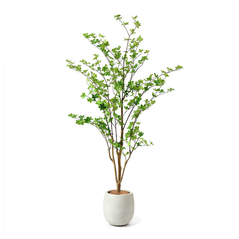 �ե��������꡼�� �ɥ�����ĥĥ������å��ݥåȡʹ⤵190cm �ե��������꡼�� ���տ�ʪ ���ե������꡼�� ���ˤ� ��ӥ� ���� ����ȥ�� ��Ź�ˤ� ���Ƚˤ� ���� ���ñۤ� �뺧�ˤ� ����ƥꥢ ���ե� ���ݥ���� �ꥢ�� �������)