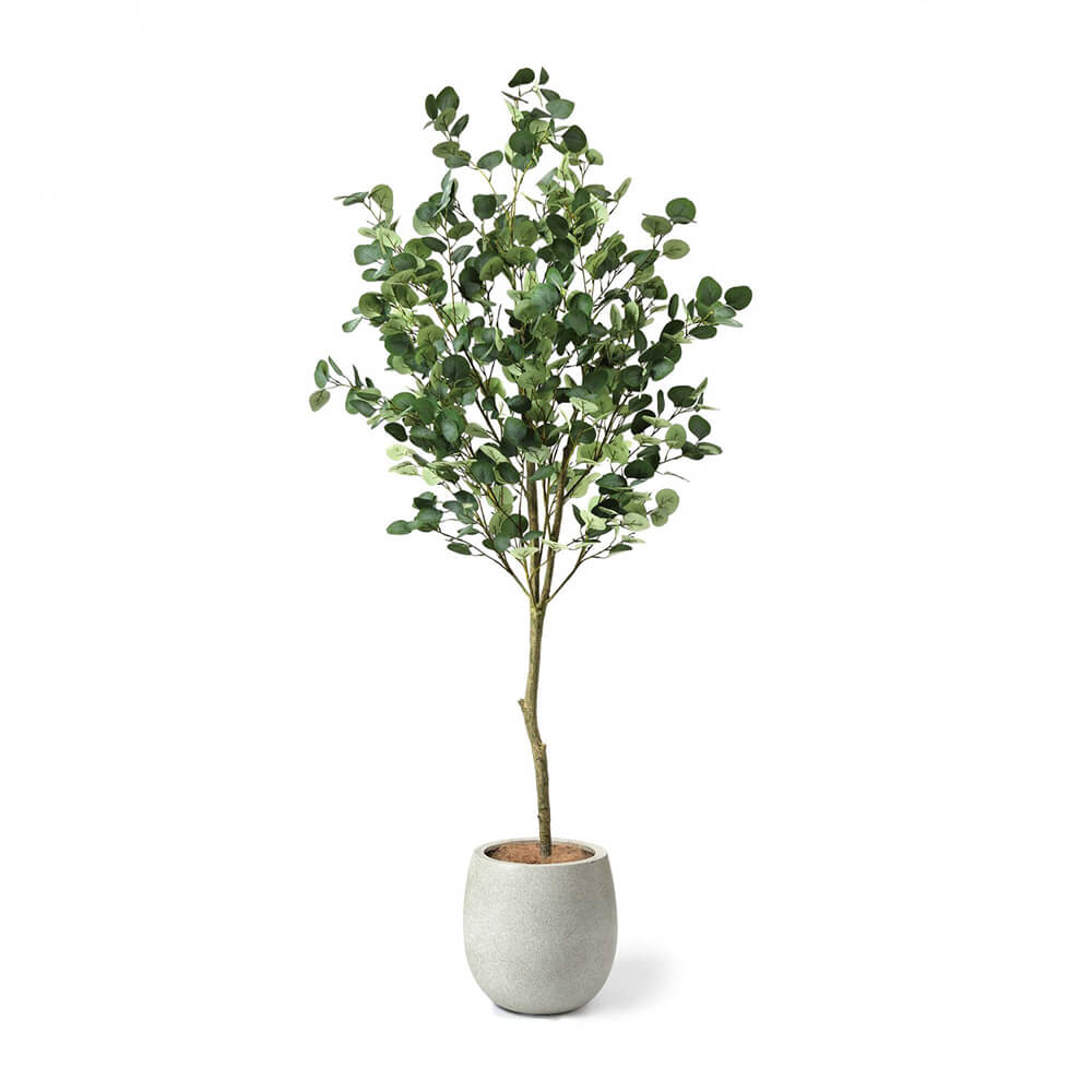 �ե��������꡼�� �桼���� ���å��ݥåȡʹ⤵185cm �ե��������꡼�� ���տ�ʪ ���ե������꡼�� ���ˤ� ��ӥ� ���� ����ȥ�� ��Ź�ˤ� ���Ƚˤ� ���۽ˤ� ���ñۤ��ˤ� �뺧�ˤ� ����ƥꥢ ���ե� ���ݥ���� �ꥢ�� �������)