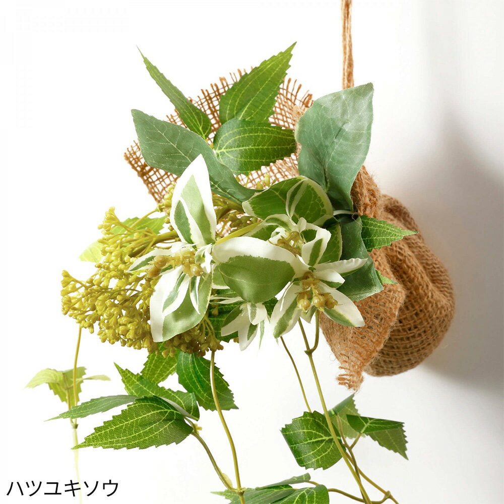 ��2�ĥ��åȡ�ý������� �ϥ󥮥󥰥��꡼�� �ϥĥ業���� �ۥåסʥե��������꡼�� ���տ�ʪ Ĵ�� �ɳݤ� �ϥ󥮥� �ߤ겼�� �ý� ����ƥꥢ ���� �ꥢ�� ���ե��� ������� ���ե� �ץ쥼��� £��ʪ ���ˤ� �������� �������