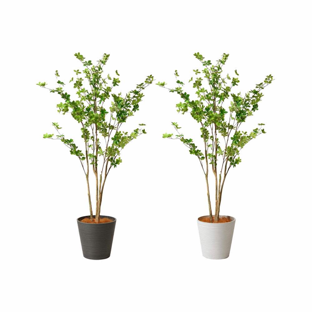 フェイクグリーン ドウダンツツジ 高さ165cm(観葉植物 フェイク おしゃれ インテリア 大型 フロアグリーン 玄関 ホテル エントランス 開店祝い 鉢付き リビング ダイニング 水やり不要 リアル ナチュラル オフィス 会社 オフィスグリーン)