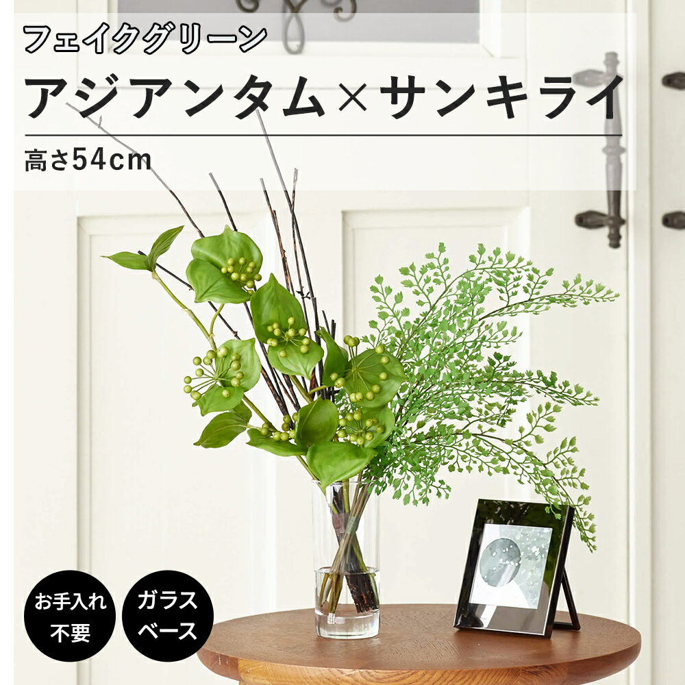 フェイクグリーン アジアンタム × サンキライ ウォーターシリンダー 高さ54cm(観葉植物 フェイク おしゃれ インテリア リビング ダイニング テーブル キッチン アレンジメント テーブルグリーン 水やり不要 卓上 リアル オフィス 会社 ギフト 屋内 室内)