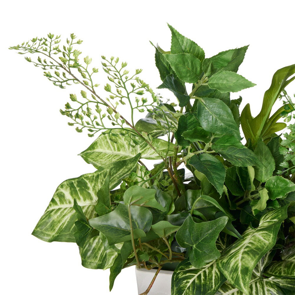 �ե��������꡼�� ���饸����ߥ��å��Х� �ơ��֥�ѡ��ơ������ �⤵30cm (���տ�ʪ �ե����� ������� ����ƥꥢ �ѡ��ơ�����󥰥꡼�� �������� ��� �ꥢ�� ���ե��� ��� ȭ�դ� �ܱ��� ��ӥ� ����)