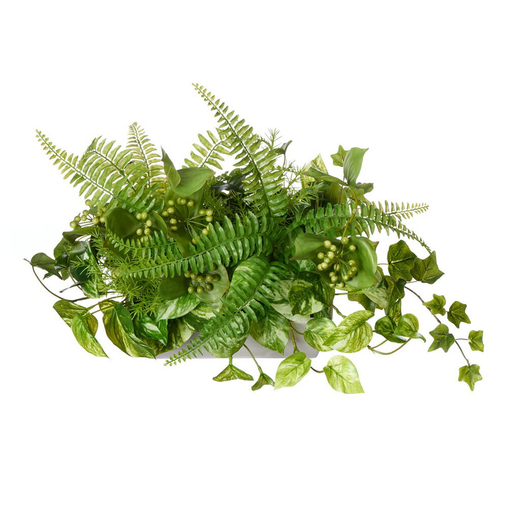 �ե��������꡼�� �ݥȥ��ߥ��ޥ��� �ơ��֥�ѡ��ơ������ �⤵40cm (���տ�ʪ �ե����� ������� ����ƥꥢ �ơ��֥륰�꡼�� �ѡ��ơ�����󥰥꡼�� �������� ��� �ꥢ�� ���ե��� ��� ȭ�դ� �ܱ��� ��ӥ� ����)