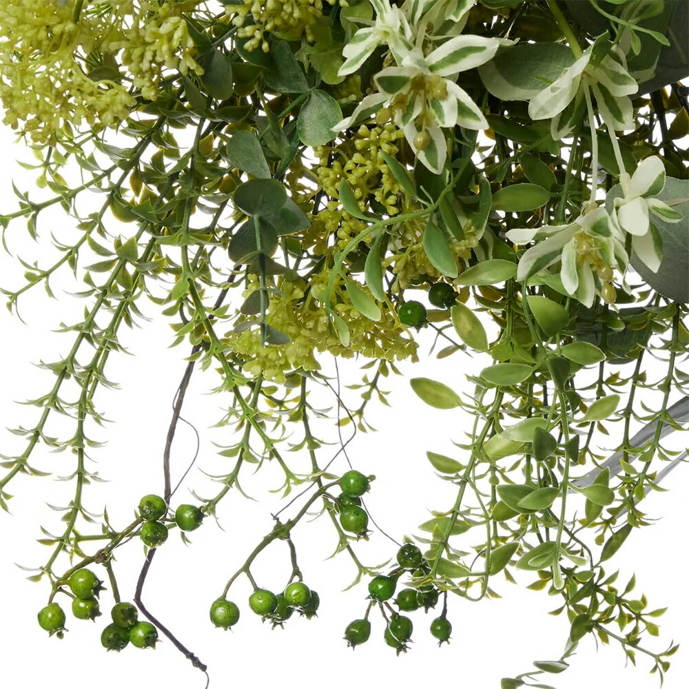 ���ե��������꡼�� ����С����꡼��ߥ��饹�꡼�� �ϥ󥮥󥰥꡼���ʥե�����󥸥��� �꡼�� �ɳݤ� ���տ�ʪ ����ƥꥢ �桼���� �ե����� �͹����տ�ʪ �ʥ����� ���襤�� ���� ��ӥ� �ꥢ�� �������)