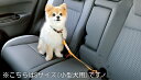 【GWセール 全品P3倍!5/4-6】N-BOX JOY CUSTOMペット車外飛び出し防止リード(Mサイズ) 08Z41-E6K-000D JF5 JF6 H...