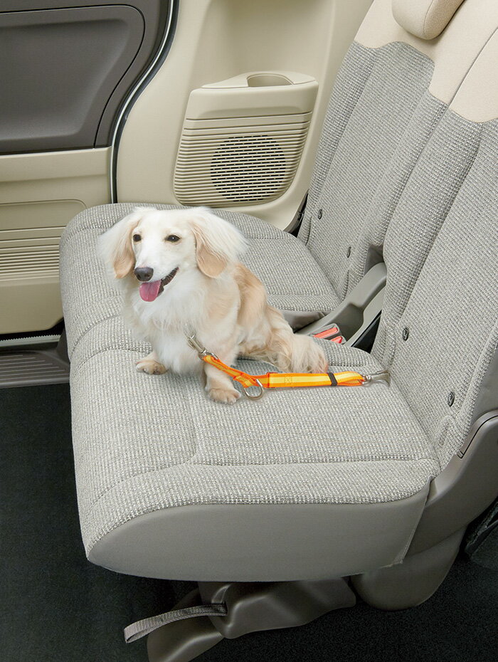 HONDA ホンダ 純正 アクセサリー パーツ N-ONE Nワン エヌワンペット車外飛び出し防止リード 08Z41-E6K-000C JG3 JG4 オプション