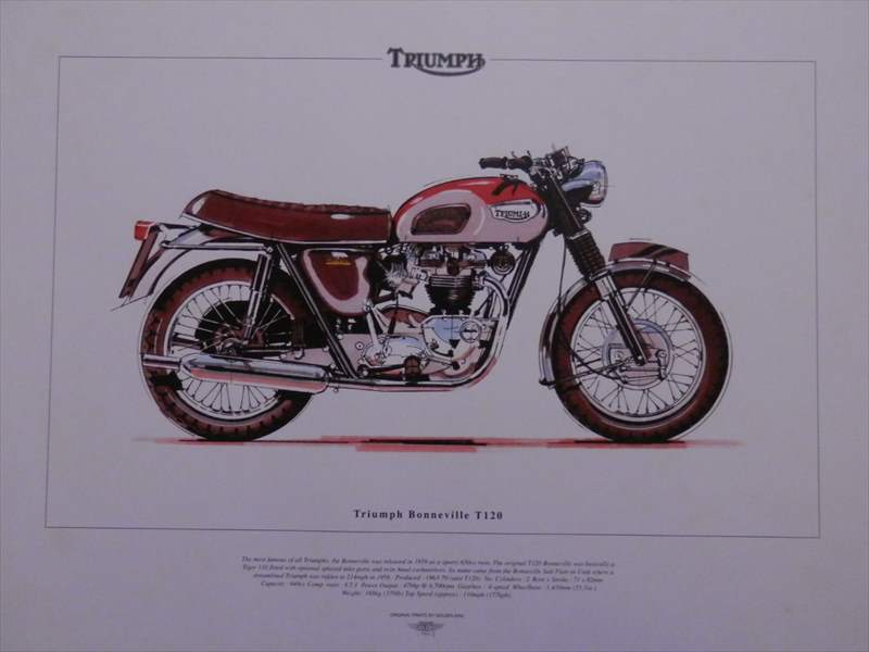 乐天商城 - TRIUMPH　BONNEVILLE　T120