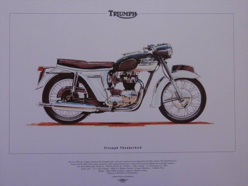TRIUMPH　THUNDERBIRD